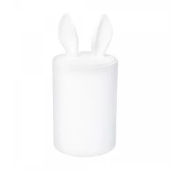 Petite Friture Container Décoratif Curiosity